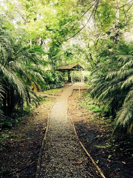 walking trail