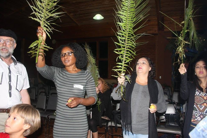 waving lulav